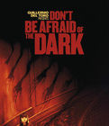 《別害怕黑暗》 《別害怕黑暗》