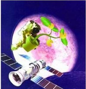 生物衛星 生物衛星