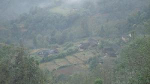 大蒿坪回隊自然村