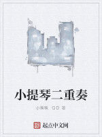 小提琴二重奏 小提琴二重奏