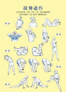 拉伸—最好的運動(現代人即學即用的健康法) 拉伸—最好的運動(現代人即學即用的健康法)