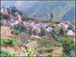 二字苴村 二字苴村