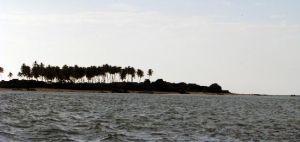 卡納塔克海岸