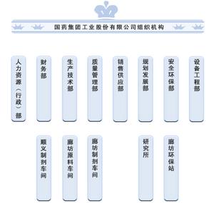 國藥集團工業股份有限公司