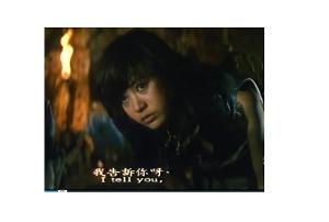 亂世英雄亂世情