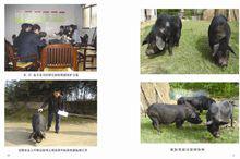 null[安徽省地級市]