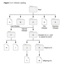 AppleTalk檔案協定