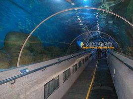 大連海洋極地館 大連海洋極地館