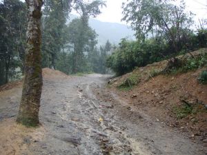 黃竹山村 黃竹山村