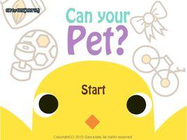 養只寵物球 養只寵物球