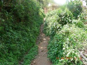 脈處立大村 脈處立大村