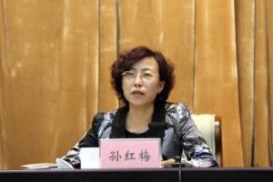 孫紅梅[包頭市委副書記]