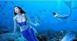 美人魚的歷史 美人魚的歷史