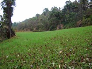 下長坡自然村 下長坡自然村