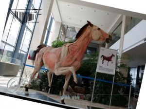 金石灘文化博覽 金石灘文化博覽