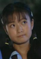 插翅難逃[2001年葉鴻偉導演電視劇]