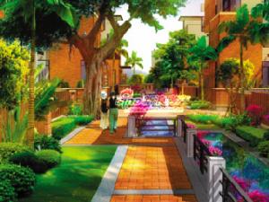 東湖映月 東湖映月