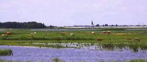 向海蒙古族鄉 向海蒙古族鄉