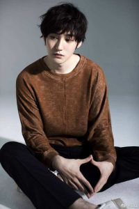 汪鐸[中國內地男演員]