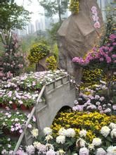 後菊花寺 後菊花寺