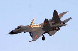 殲-11BS戰鬥機 殲-11BS戰鬥機