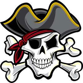 海盜旗[海盜船的旗幟]