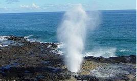 哈羅那噴潮口 哈羅那噴潮口