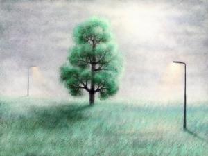 青春的秘密 青春的秘密