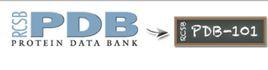 蛋白質三維結構資料庫 蛋白質三維結構資料庫