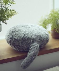 貓尾機器人 貓尾機器人