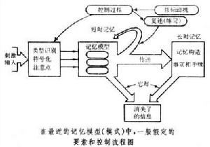 瞬時、短時、長時記憶
