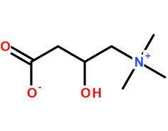 左旋肉鹼內鹽 左旋肉鹼內鹽