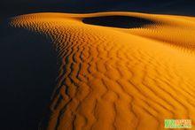 胡楊女人-巴丹吉林沙漠