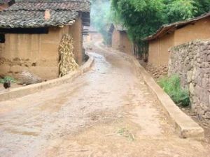 大馬坪村 大馬坪村