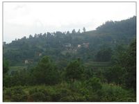 竹箐上自然村 竹箐上自然村