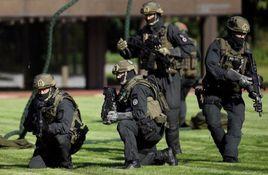 德國特種部隊 德國特種部隊