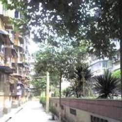 華夏之家 華夏之家