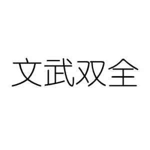 文武雙全[漢語詞語]