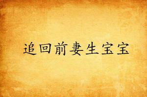追回前妻生寶寶 追回前妻生寶寶