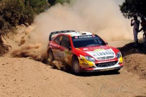 世界汽車拉力賽 世界汽車拉力賽