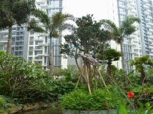 水榭春天花園三期