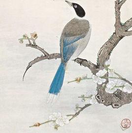 寒梅山鵲 寒梅山鵲