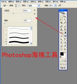 海綿工具 海綿工具