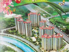 南湖花園 南湖花園