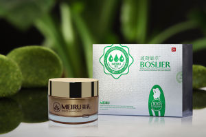 波斯麗爾 波斯麗爾