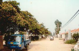 董家山後村 董家山後村