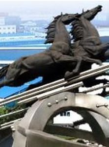 浙江天馬軸承股份有限公司 浙江天馬軸承股份有限公司