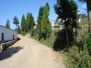 小幕依村 小幕依村