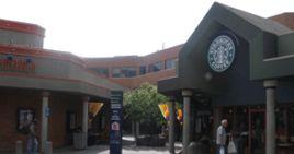 加拿大亞利山大學院 加拿大亞利山大學院