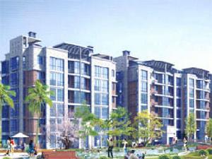 城市花苑 城市花苑